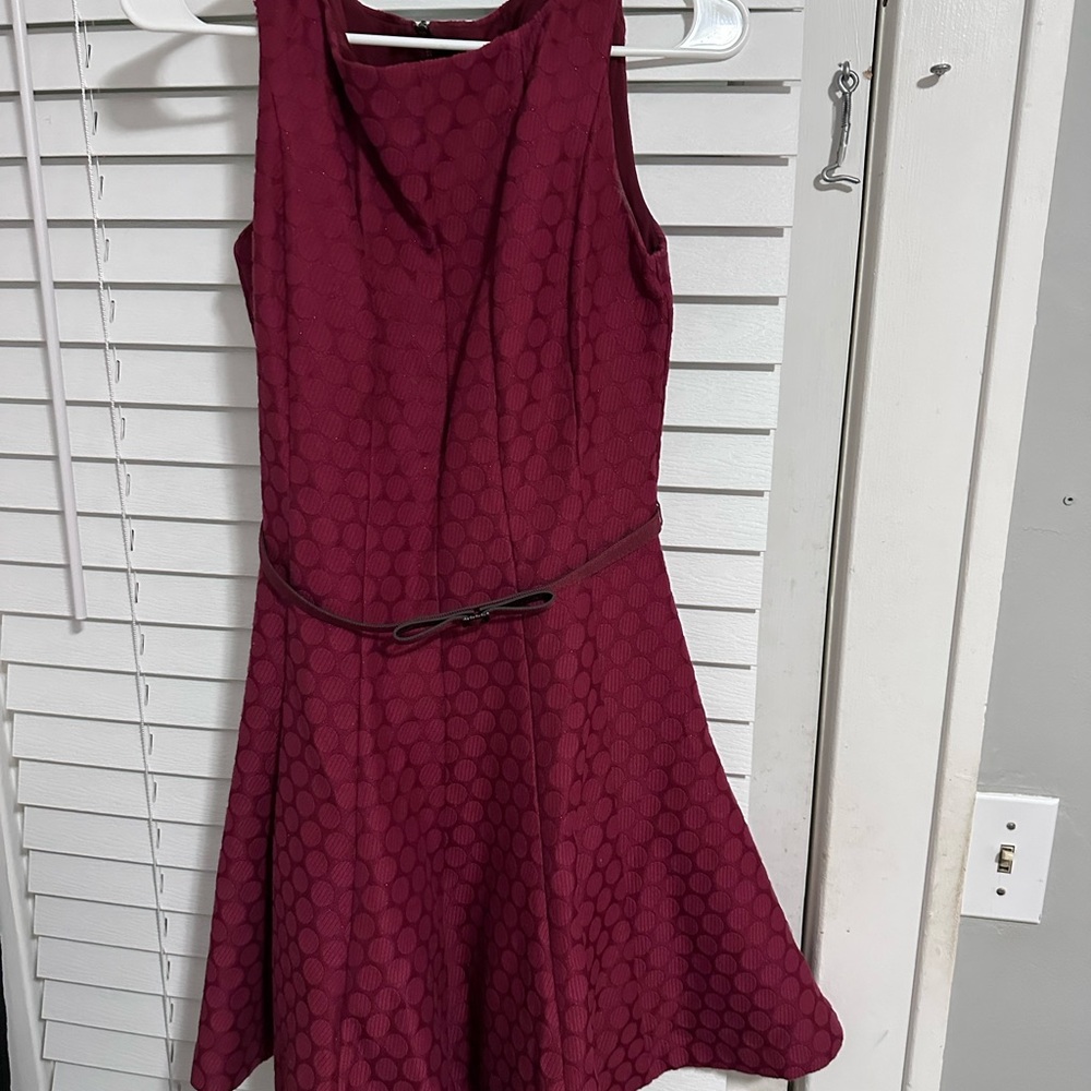 The Limited Red Fit and Flare Mini Dress